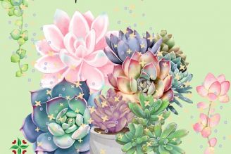 4-tips-about-Succulents 