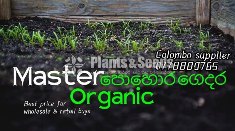 Organic Soil