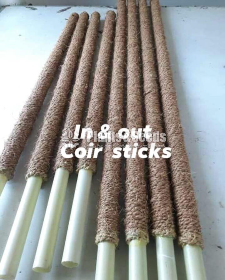 Coir sticks and Mose pole