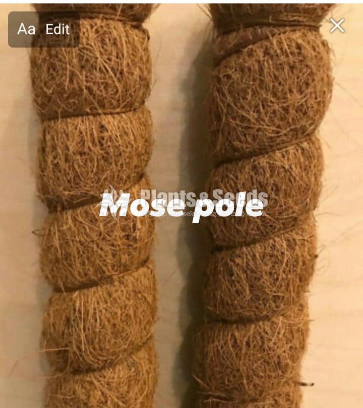 Coir sticks and Mose pole
