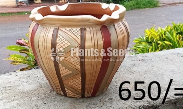 Clay Pots Collection