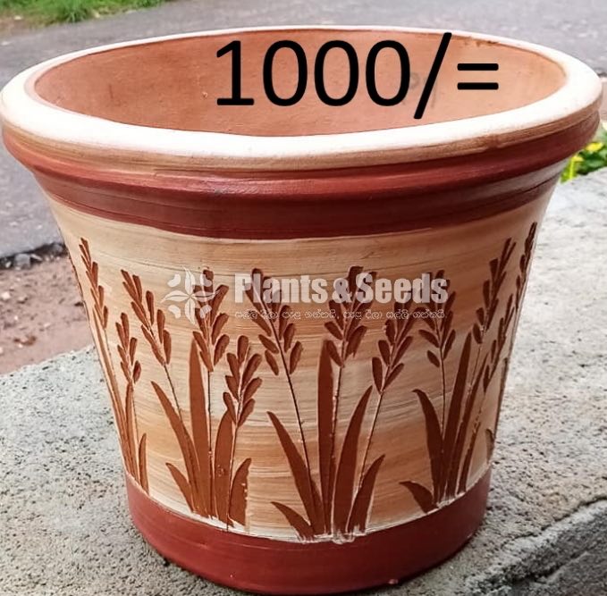 Clay Pots Collection