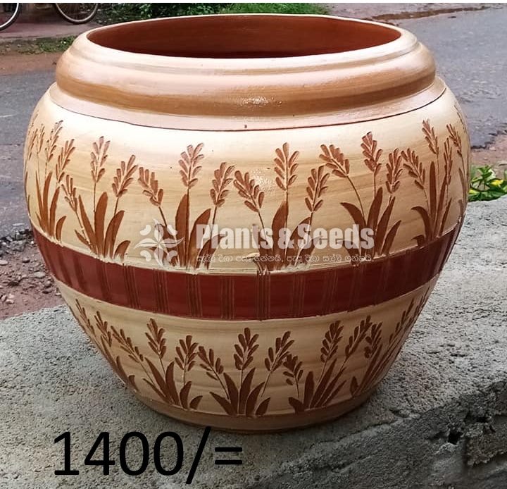 Clay Pots Collection