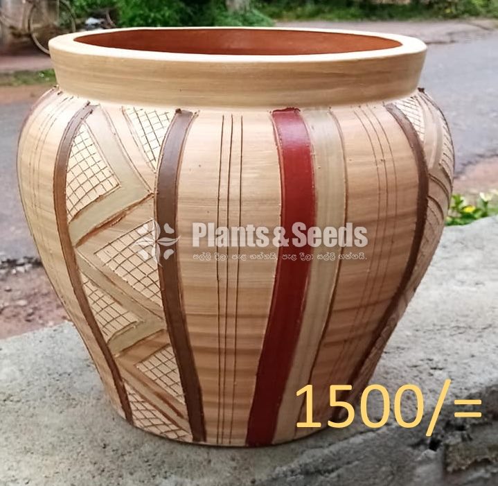 Clay Pots Collection