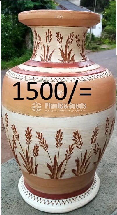 Clay Pots Collection