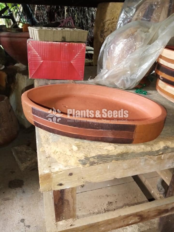 Clay Pots Collection