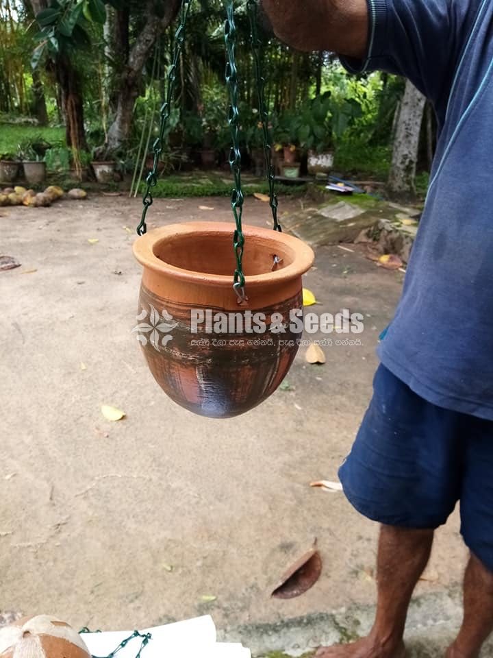 Clay Pots Collection