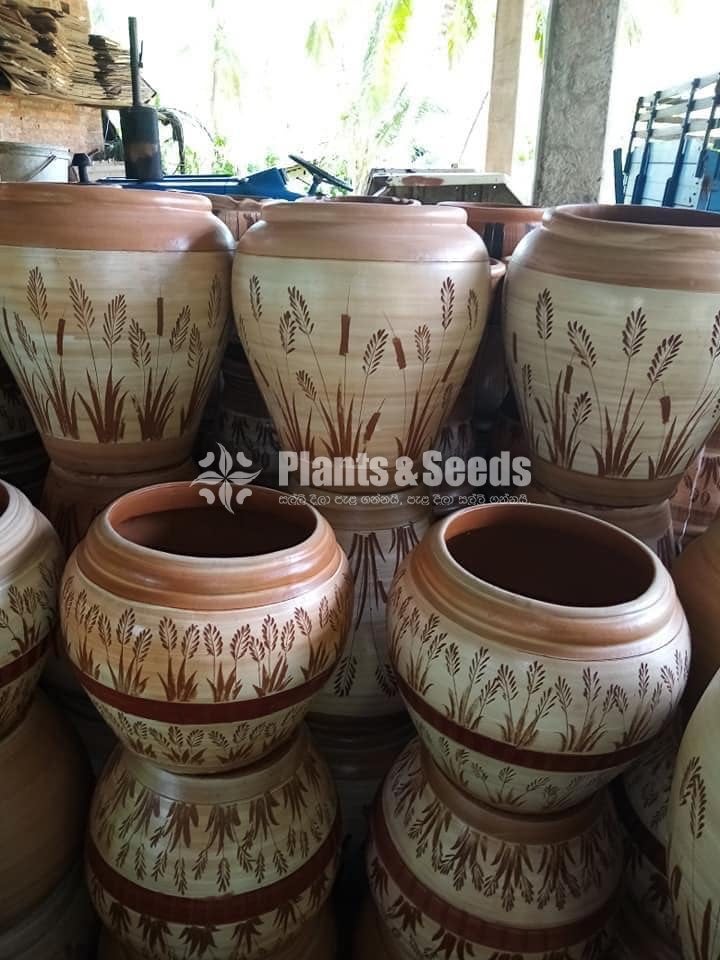 Clay Pots Collection