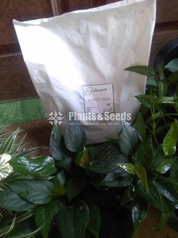 රන්පත් කොකො ප්ලස් (COCO PLUS)