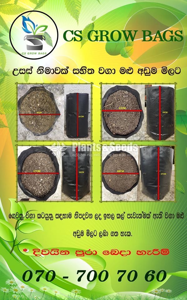 Grow Bags 