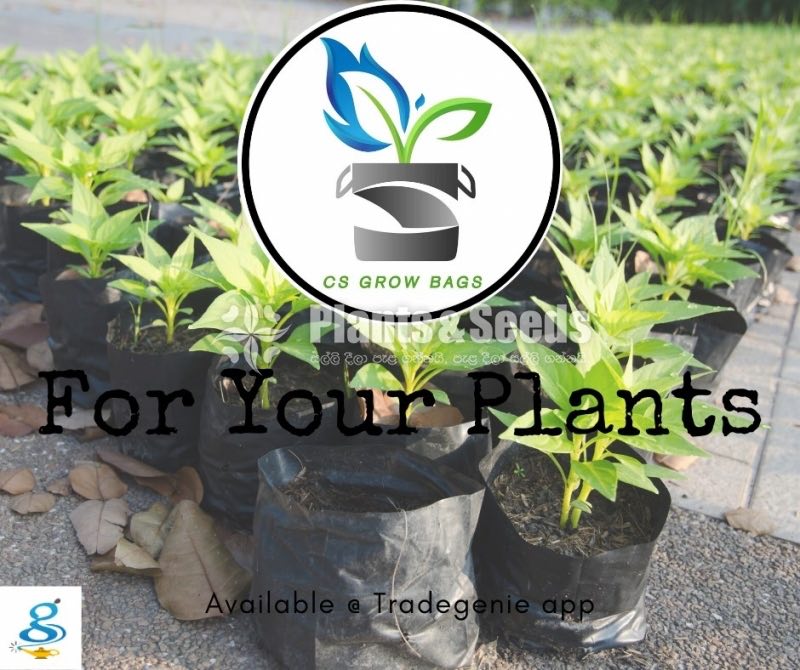Grow Bags 