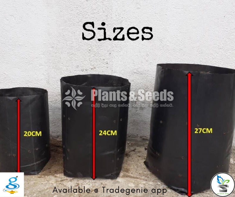 Grow Bags 