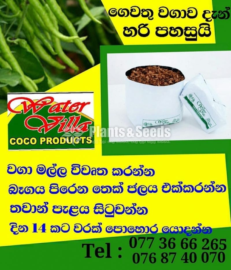 Grow Bags -Open top Bag