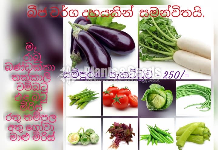 Vegetable Seeds Pack for 600