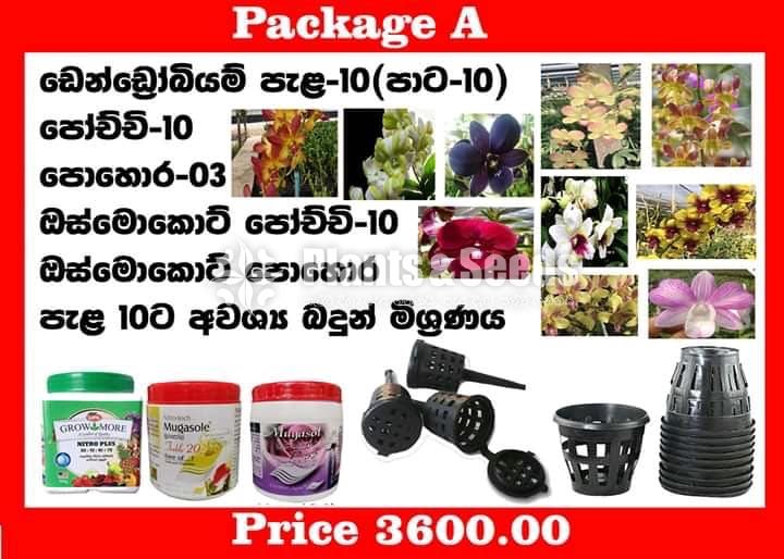 Special Package-3600