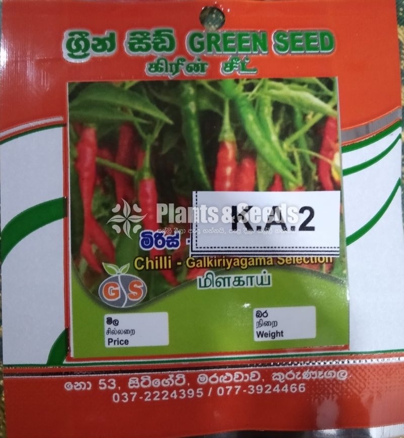 Vegetable Seeds 