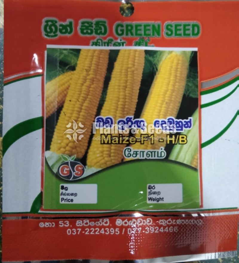 Vegetable Seeds