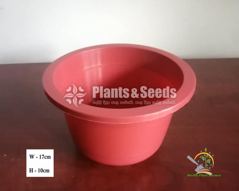 Plastic Pots