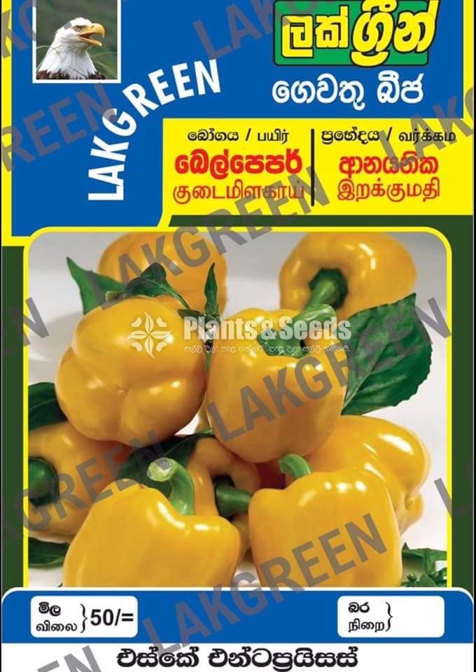 Vegetable Seeds Pack