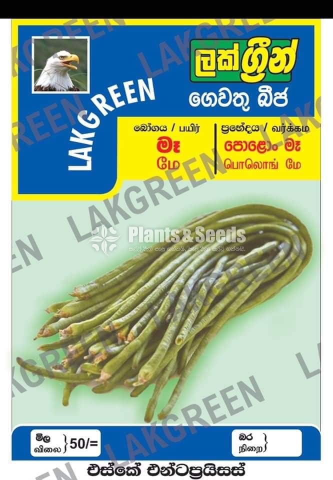 Vegetable Seeds Pack