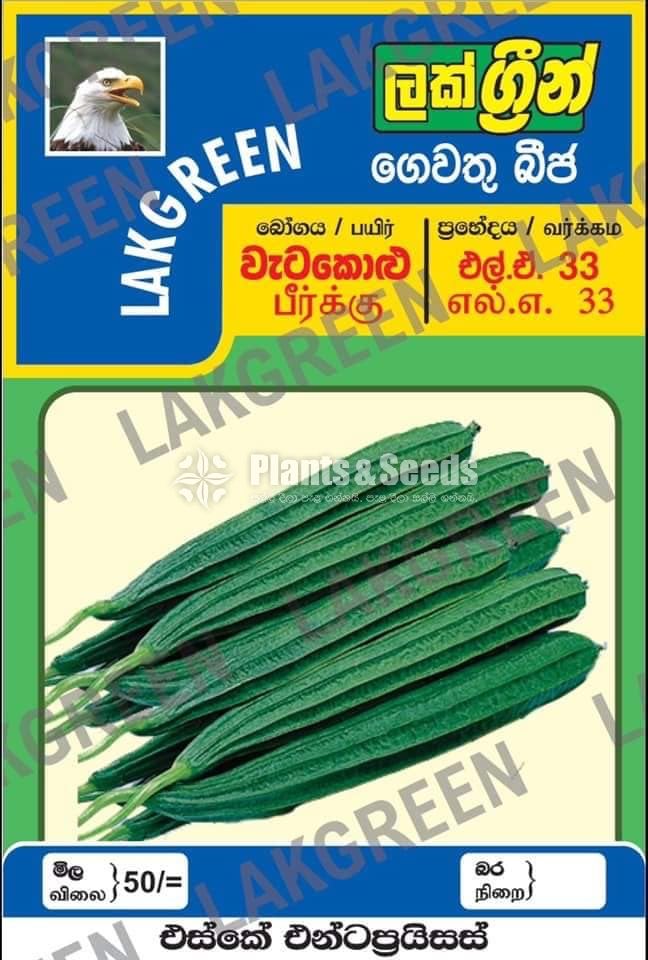 Vegetable Seeds Pack