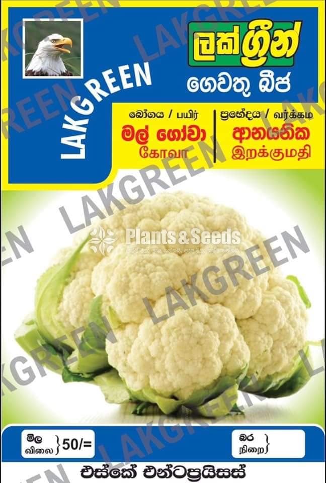 Vegetable Seeds Pack