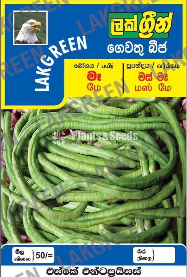 Vegetable Seeds Pack