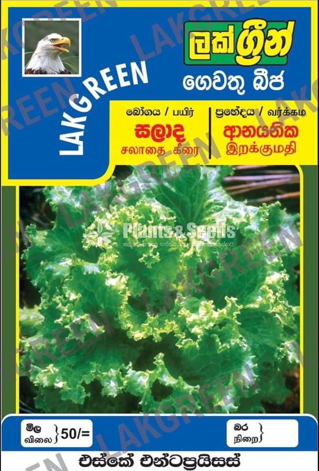 Vegetable Seeds Pack
