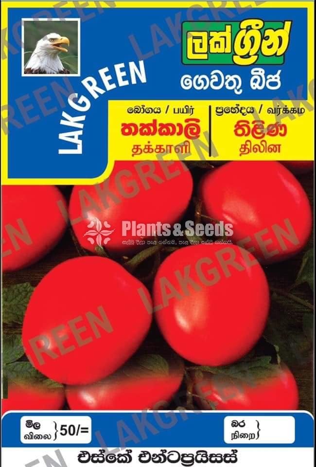 Vegetable Seeds Pack