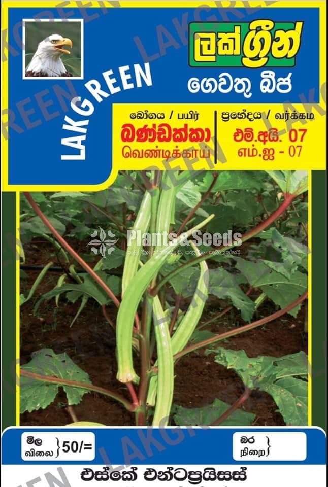 Vegetable Seeds Pack