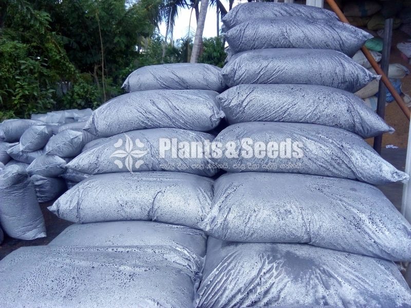 Dhayya Aguru (දහයියා අගුරු)