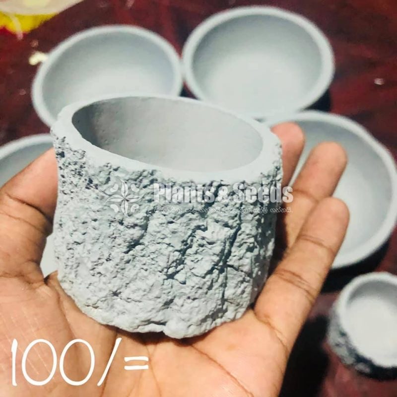 Cement Pots designs for SucculentsCactus & Bonsai 
