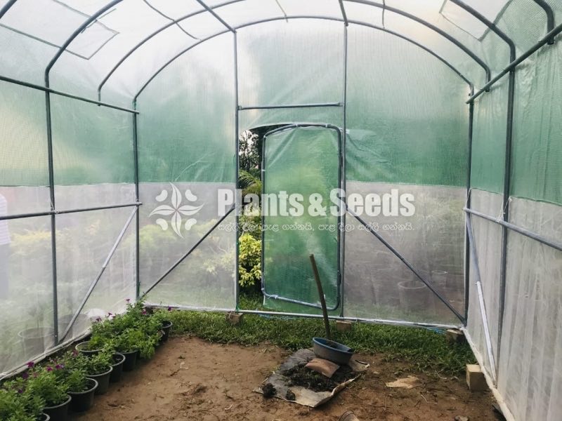 Portable Green House  6M*3.5M*3M