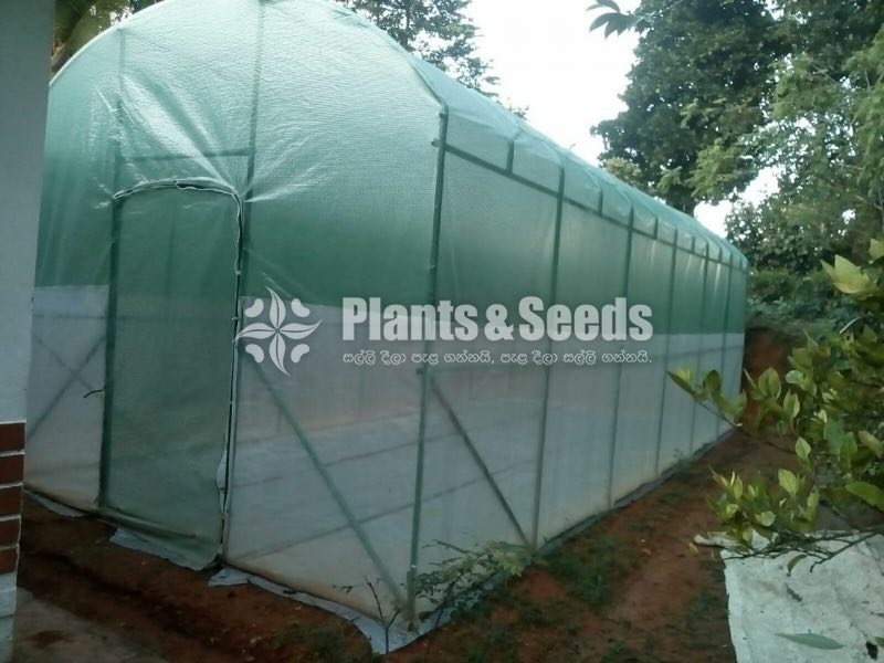 Portable Green House  6M*3.5M*3M