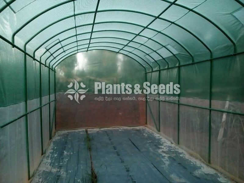 Portable Green House  6M*3.5M*3M