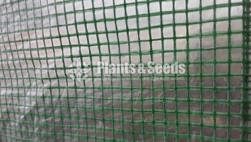 Portable Green House  6M*3.5M*3M