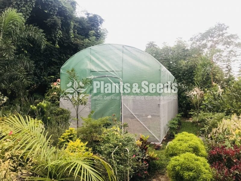 Portable Green House  6M*3.5M*3M