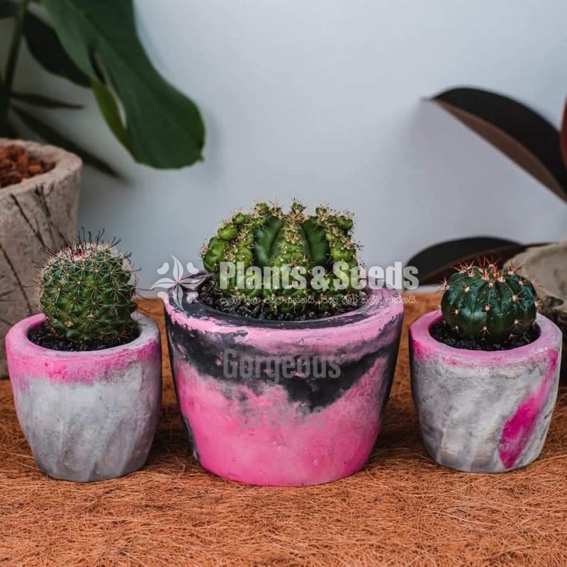 Marble Cement Pots