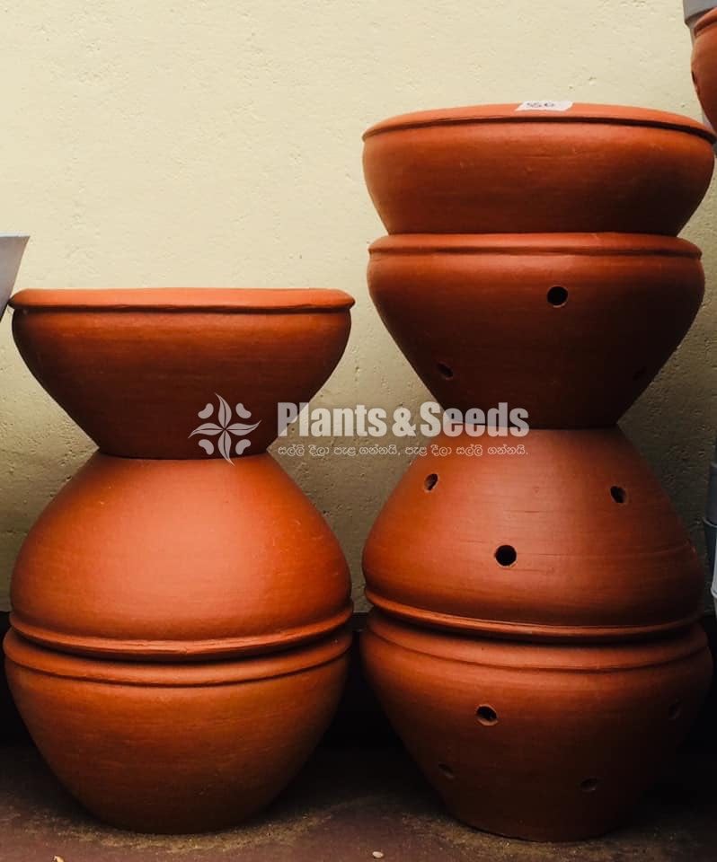 Clay Pots 590