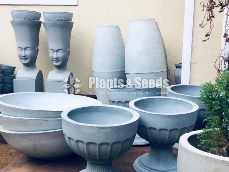 Cement Pots