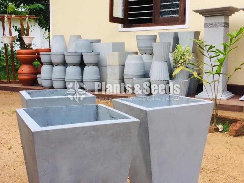 Cement Pots