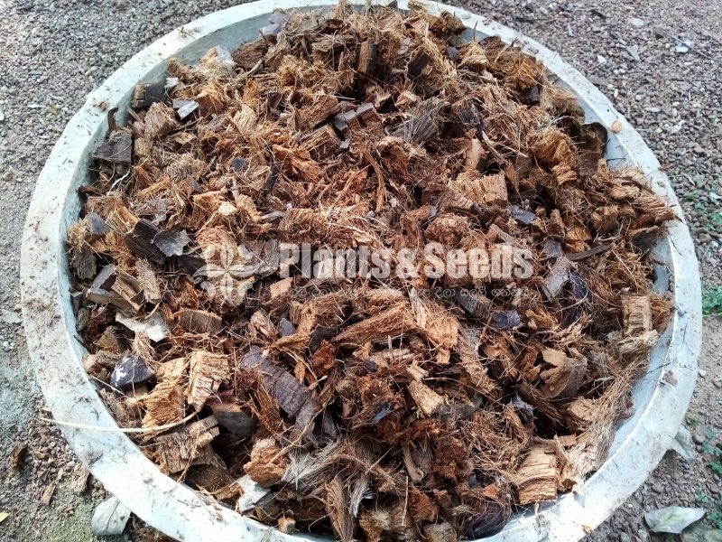 PolleliKabali(පොල් ලෙලි කැබලි )