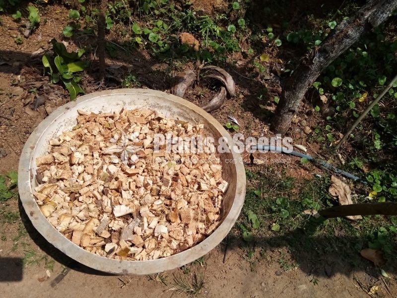 PolleliKabali(පොල් ලෙලි කැබලි )