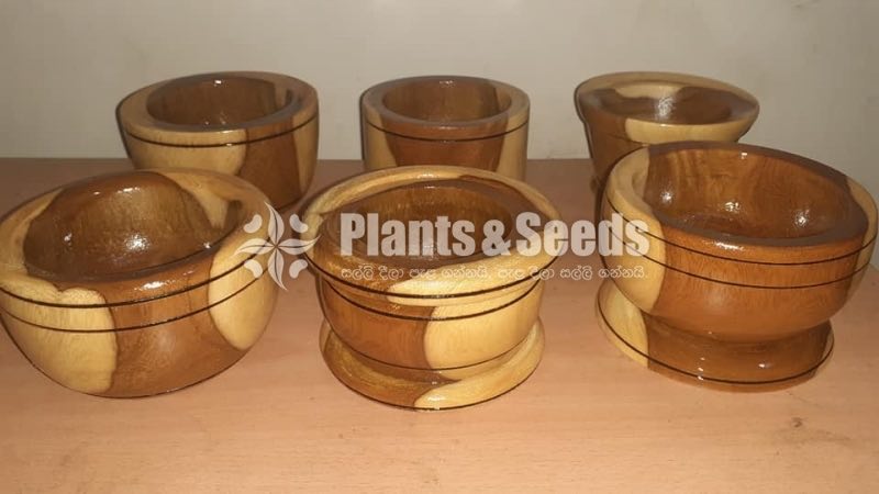Wood Cactus Pots