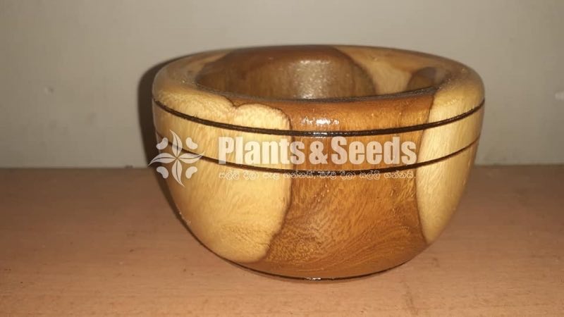 Wood Cactus Pots