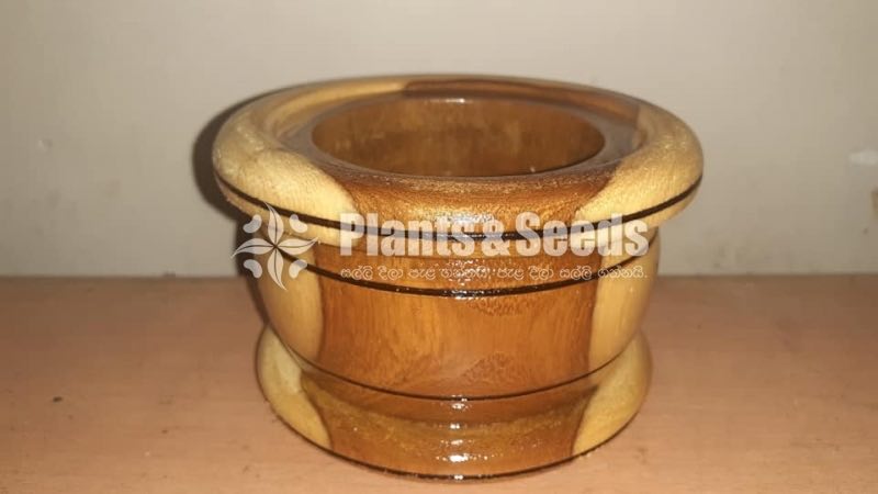 Wood Cactus Pots