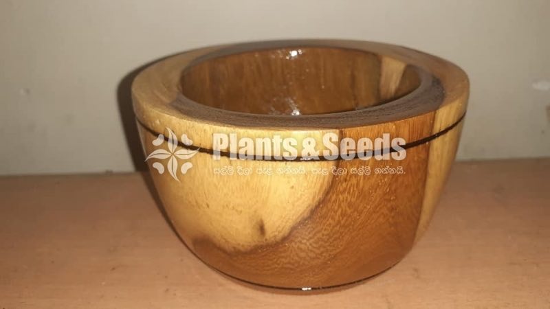 Wood Cactus Pots