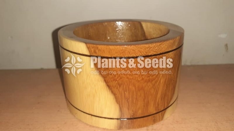 Wood Cactus Pots