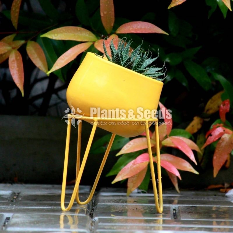 Ceramic Powder Coated Pots with Stand