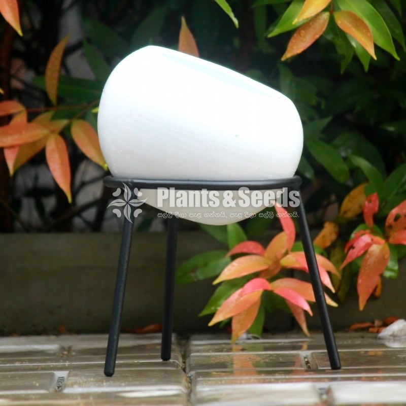 Ceramic Powder Coated Pots with Stand